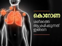 കൊറോണ ശരീരത്തെ ആക്രമിക്കുന്നത് ഇങ്ങനെയാണ്