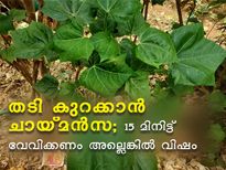തടി കുറക്കാന്‍ ചായ്മന്‍സ; 15 മിനിട്ട് വേവിക്കണം 