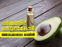ചര്‍മ്മത്തിന് ചെറുപ്പം നല്‍കും അവോക്കാഡോ ഓയില്‍