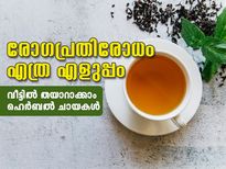 രോഗപ്രതിരോധം നേടാം; വീട്ടിലാക്കാം ഹെര്‍ബല്‍ ടീ