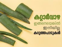 കറ്റാര്‍വാഴ ഇങ്ങനെയെങ്കില്‍ കറുത്തപാടുകള്‍ ഇല്ല