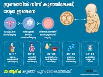  ഭ്രൂണം കുഞ്ഞിലേക്ക് വളര്‍ച്ച ഇങ്ങനെയാണ്