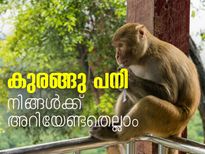 കുരങ്ങു പനി; നിങ്ങള്‍ക്ക് അറിയേണ്ടതെല്ലാം