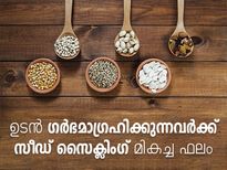  പെട്ടെന്ന് ഗര്‍ഭധാരണത്തിന് സീഡ് സൈക്ലിംഗ്‌