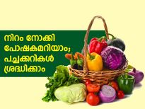 നിറം നോക്കി പോഷകമറിഞ്ഞ് വാങ്ങാം ഇനി പച്ചക്കറികള്‍