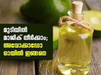 മുടിയില്‍ മാജിക്ക്; അവോക്കാഡോ ഓയില്‍ ഇങ്ങനെ