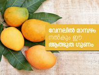 വേനലില്‍ മാമ്പഴം നല്‍കും ഈ ആത്ഭുത ഗുണം