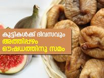 കുട്ടികള്‍ക്ക് ദിവസവും അത്തിപ്പഴം ഔഷധത്തിനു സമം