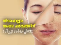 വിടചൊല്ലാം വരണ്ട ചര്‍മ്മത്തിന്; വീട്ടുവഴികളിതാ 