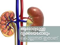 പഴവും പാലും കിഡ്‌നിയെ ഈ പരുവമാക്കും, കാരണം