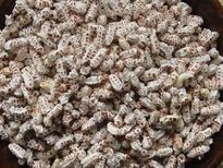 മലര്‍വെള്ളം ഒരു ഗ്ലാസ്സ് മതി ഏത് രോഗത്തിനും