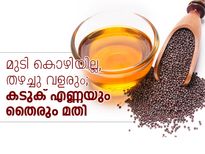 മുടി കൊഴിയില്ല, വളരും; കടുകെണ്ണയും തൈരും ഇങ്ങനെ 