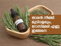താരന്‍ നീങ്ങി മുടിവളരും, റോസ്‌മേരി എണ്ണ ഇങ്ങനെ