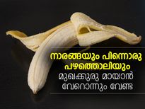 നാരങ്ങയും പിന്നൊരു പഴത്തൊലിയും, മുഖക്കുരു മായും