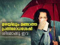 മഴയിലും മങ്ങാത്ത പ്രതിരോധശേഷിക്ക് ശീലമാക്കൂ ഇവ
