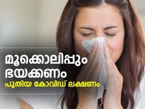 മൂക്കൊലിപ്പും ഭയക്കണം; മൂന്നു പുതിയ കോവിഡ് ലക്ഷണം 