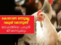 മാനവരാശിയുടെ പകുതിപ്പേര്‍ മരിക്കും; മുന്നറിയിപ്പ്