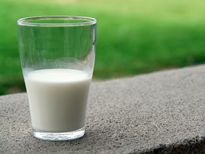  ആയുര്‍വ്വേദമനുസരിച്ച് പാല്‍ കുടിക്കാം ദിവസവും