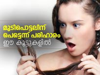 മുടിപൊട്ടലിന് പെട്ടെന്ന് പരിഹാരം ഈ കൂട്ടുകളില്‍