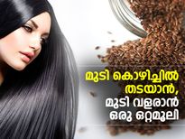 മുടികൊഴിയില്ല, വളരും; ഈ ഒറ്റമൂലി അല്‍പം