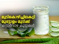 മുടികൊഴിച്ചിലകറ്റി മുട്ടോളം മുടിക്ക് കറ്റാര്‍ വാഴ