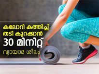 തടി കുറക്കാന്‍ 30 മിനിറ്റ് വ്യായാമ ശീലം