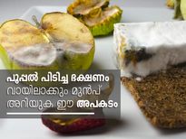 ഭക്ഷണത്തില്‍ പൂപ്പലോ, അറിയണം ഈ അപകടത്തെ