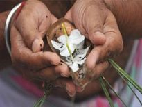 പിതൃപക്ഷം; വീട്ടില്‍ ബലിതര്‍പ്പണത്തിന് ഒരുങ്ങാം