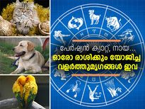 ഓരോ രാശിക്കും യോജിച്ച വളര്‍ത്തുമൃഗങ്ങള്‍ ഇവ
