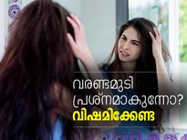 വരണ്ട മുടി നീക്കി പട്ടുപോലെ മുടി സ്വന്തമാക്കാന്‍