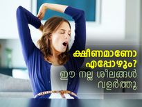 ക്ഷീണമാണോ എപ്പോഴും? ഊര്‍ജ്ജത്തിന് പതിവാക്കൂ ഈ ശീലം