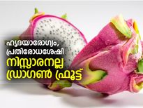 നിസ്സാരനല്ല; ഡ്രാഗണ്‍ ഫ്രൂട്ട് ഒരു അത്ഭുത പഴം