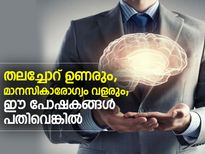 തലച്ചോറ് ഉണരും, മാനസികാരോഗ്യം വളരും; ഈ പോഷകങ്ങള്‍ 