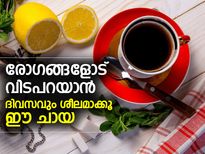 ഔഷധ തുല്യം നാരങ്ങ ചേര്‍ത്ത് ഒരു കപ്പ് ഗ്രീന്‍ ടീ 