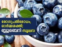 രോഗപ്രതിരോധം, ഓര്‍മ്മശക്തി; ബ്ലൂബെറി ആള് സൂപ്പറാ