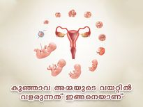 ഗര്‍ഭസമയം ഓരോ ആഴ്ചയും ഇങ്ങനെയാണ്