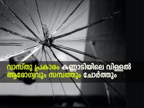 വാസ്തുപ്രകാരം കണ്ണാടിയില്‍ ആരോഗ്യവും സമ്പത്തും