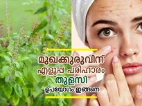 മുഖക്കുരുവിന് എളുപ്പ പരിഹാരം തുളസി: ഉപയോഗം ഇങ്ങനെ