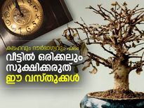 വീട്ടില്‍ ഒരിക്കലും സൂക്ഷിക്കരുത് ഈ വസ്തുക്കള്‍