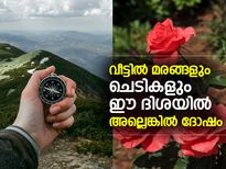 വീട്ടില്‍ മരങ്ങളും ചെടികളും ഈ ദിശയിലാണോ? ഫലം ദോഷം