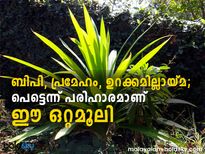  ബിരിയാണിക്കൈത ആയുസ്സിന്റെ കണക്ക്  നീട്ടാന്‍