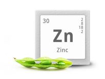 രോഗപ്രതിരോധ ശേഷിക്ക് സിങ്ക് ധാരാളം