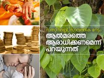 ആല്‍മരത്തെ ആരാധിക്കണമെന്ന് പറയുന്നത് എന്തിന് ?