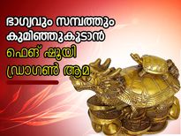 സമ്പത്ത് കുമിഞ്ഞുകൂടാന്‍ ഫെങ് ഷൂയി ഡ്രാഗണ്‍ ആമ 