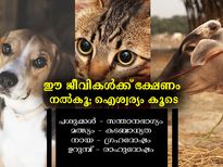 ഈ ജീവികള്‍ക്ക്‌ ഭക്ഷണം നല്‍കൂ; ഐശ്വര്യം കൂടെ