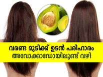 അവോക്കാഡോ തലയിലെങ്കില്‍ വരണ്ട മുടിക്ക് പരിഹാരം ഉടന്‍