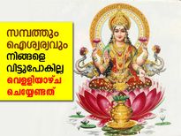 സമ്പത്തും ഐശ്വര്യവും കൂടെനിര്‍ത്താന്‍ വെള്ളിയാഴ്ച ചെയ്യേണ്ടത്