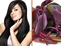 തഴച്ചുവളരാന്‍ മുടിക്ക് വളമാണ് ചീര; ഉപയോഗം ഇങ്ങനെ