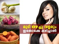 മുടി തഴച്ചു വളരും; ഇതൊക്കെ കഴിച്ചാല്‍ മതി