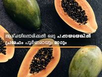 ആഴ്ചയില്‍ ഒരിക്കലൊരു പപ്പായ; കൊളസ്‌ട്രോളും പ്രമേഹും പിടിച്ചിടത്ത് നില്‍ക്കും